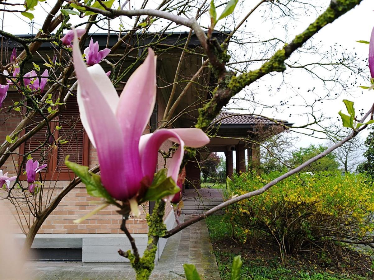 Farm stay I Quercioli *